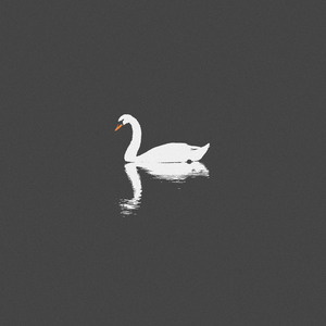 二次元，人物羞羞做爱视频
