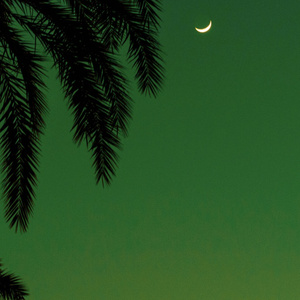 二次元，人物羞羞做爱视频
